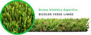 GRAMA SINTÉTICA FUTEBOL SOCIETY CURITIBA, GRAMA SINTÉTICA RUGBY, GRAMA SINTÉTICA GOLF CURITIBA, GRAMA TINTÉTICA TÊNIS CURITIBA