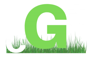 , GRAMA SINTÉTICA CURITIBA, GRAMA SOFT GRASS CURITIBA, GRAMA PADDLE CURITIBA, GRAMA ORION FUSION CURITIBA, GRAMA MONOFILAMENTO CURITIBA, GRAMA INFINITY CURITIBA, GRAMA GREEN GARDEN CURITIBA, GRAMA FIBRALADA CURITIBA, GRAMA FIBRALADA XP, GRAMA EVOLUTION, GRAMA DECORATIVA CURITIBA, GRAMA COLORIDA CURITIBA, GRAMA BICOLOR VERDE LIMÃO CURITIBA.